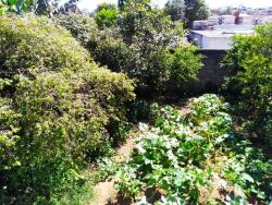 Ponto Comercial para Venda em Mogi das Cruzes - 4