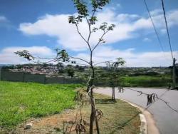 #1364 - Terreno para Venda em Mogi das Cruzes - SP - 2